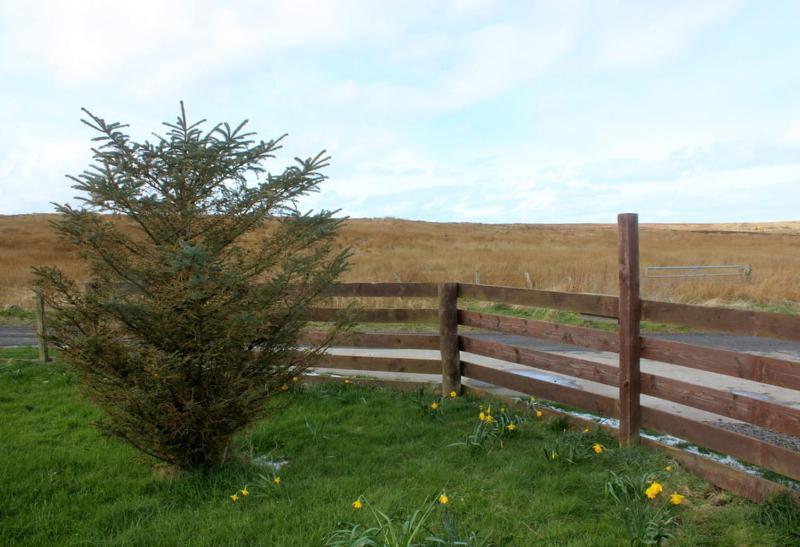 Hillside Camping Pods And Shepherd'S Hut Hotell Wick  Eksteriør bilde