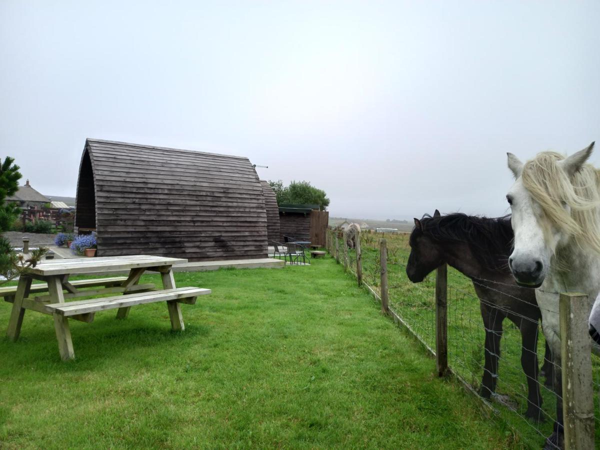 Hillside Camping Pods And Shepherd'S Hut Hotell Wick  Eksteriør bilde